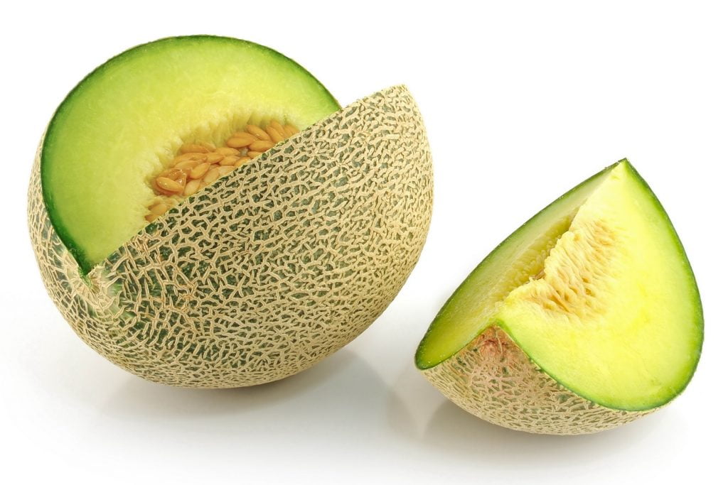 Cantaloupe Melon Kirbys Store