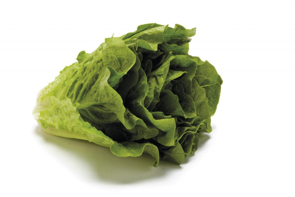 Cos Romaine Lettuce Kirbys Store