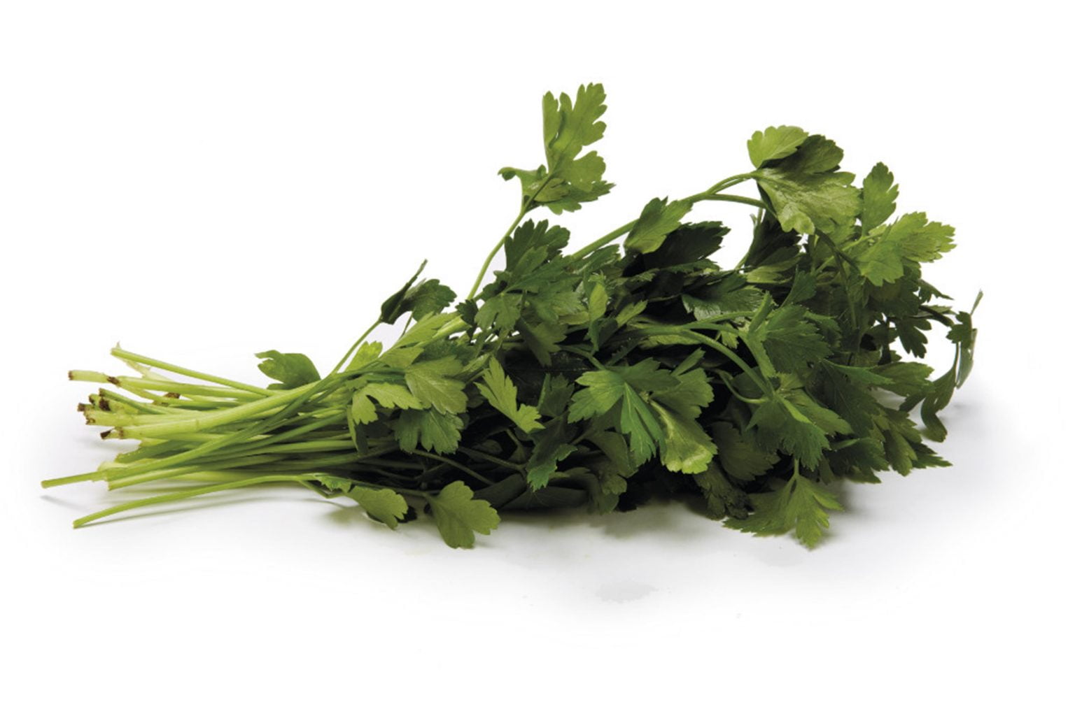 Flat Leaf Parsley Kirbys Store