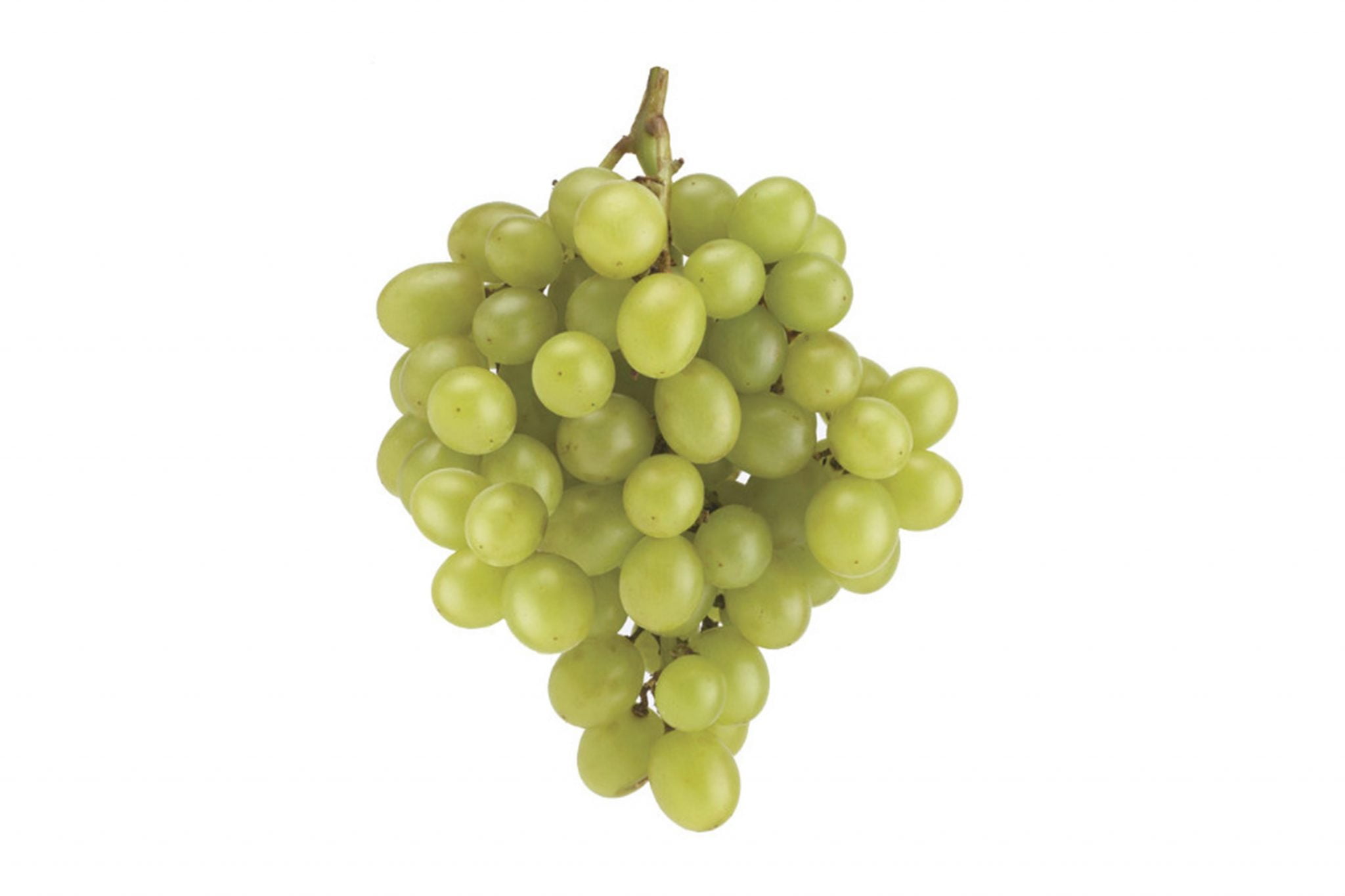 Green Grape Seedless Kirbys Store