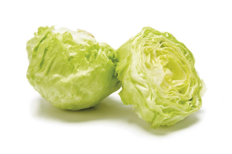 Iceberg Lettuce Kirbys Store