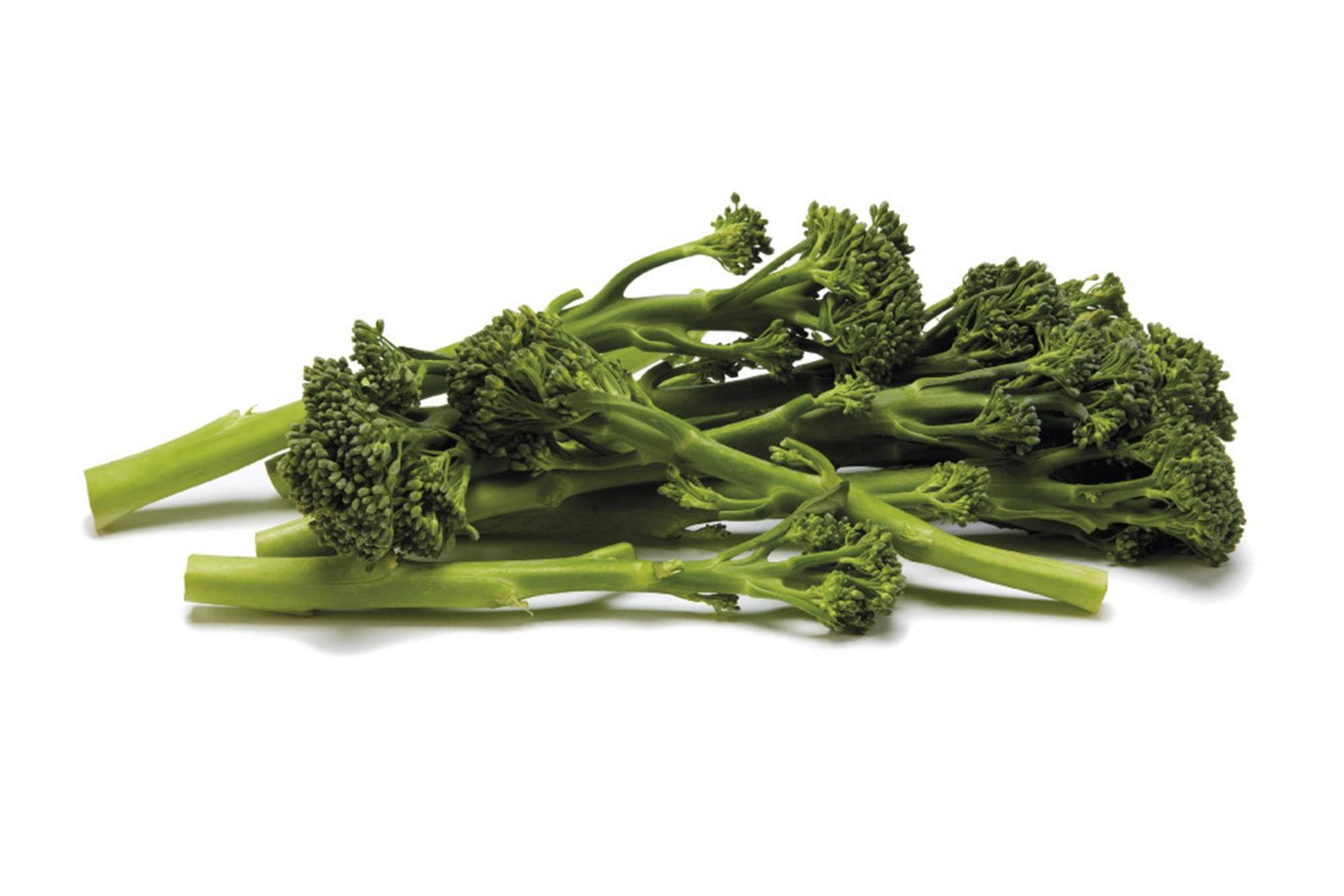 Tenderstem Broccoli Kirbys Store