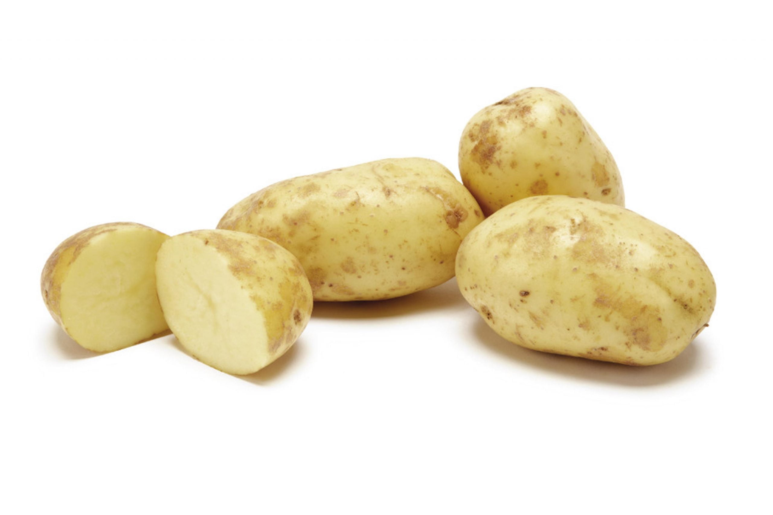 خواص و مضرات سیب زمینی، دانشنامه سیب زمینی، سیب زمینی سفید (white potato)